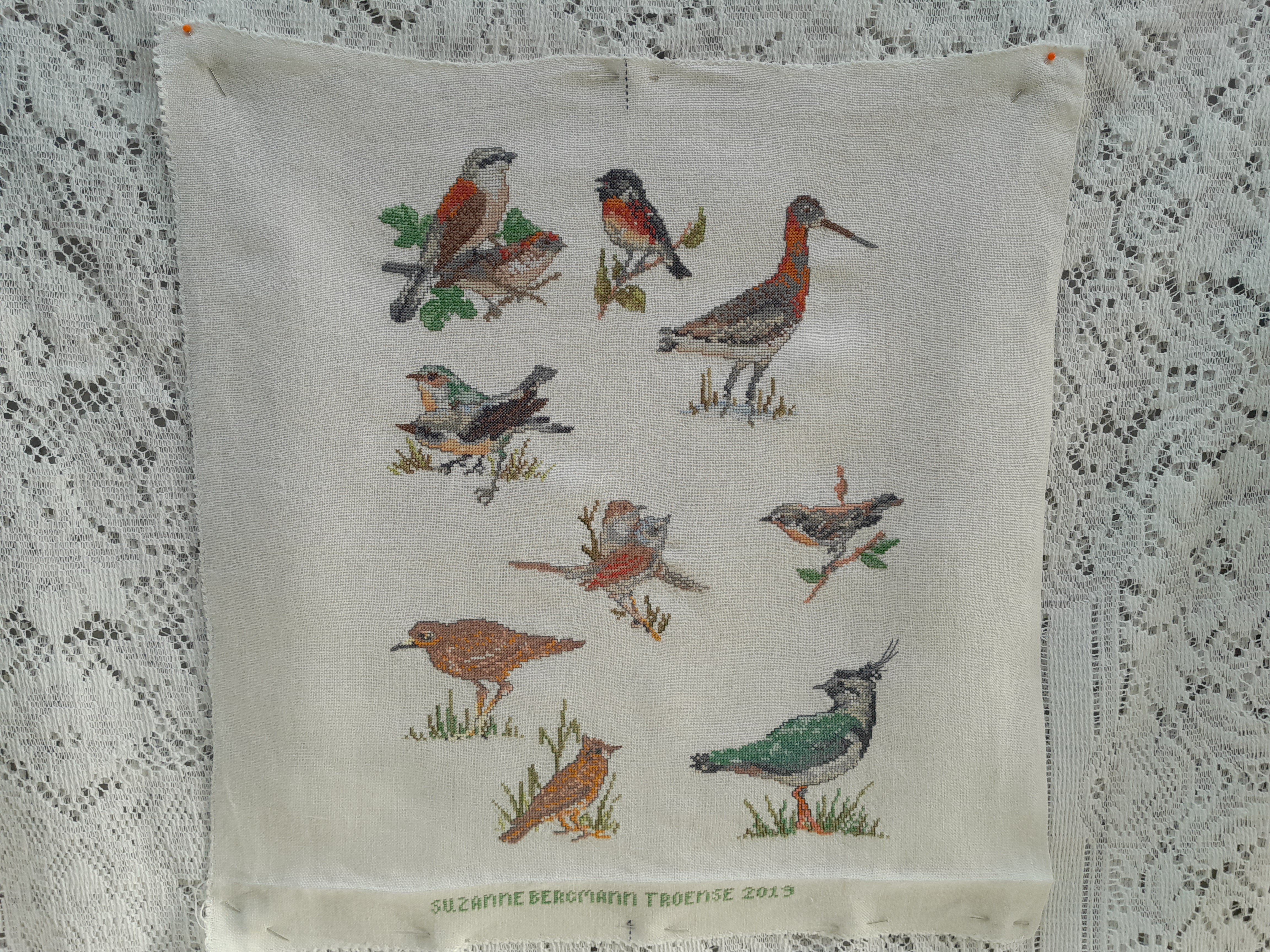 Fuglepude Skiveren navn